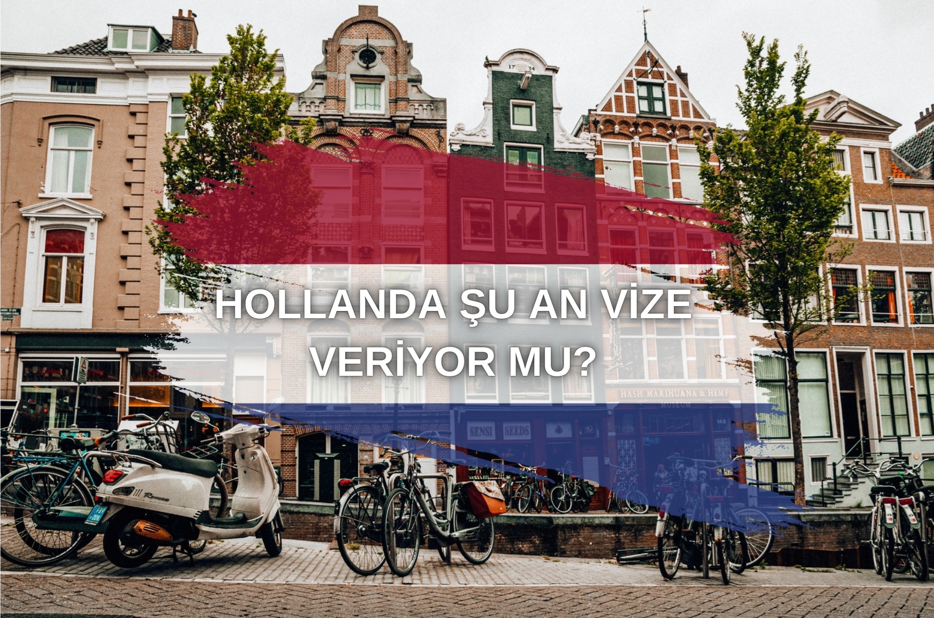 Hollanda Şu An Vize Veriyor Mu? 2024 Güncel Durum 